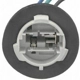 Purchase Top-Quality Lamp Socket by BLUE STREAK (HYGRADE MOTOR) - S548 pa23