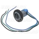 Purchase Top-Quality Lamp Socket by BLUE STREAK (HYGRADE MOTOR) - S548 pa24