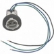 Purchase Top-Quality Douille de lampe par BLUE STREAK (HYGRADE MOTOR) - S548 pa25