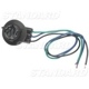Purchase Top-Quality Lamp Socket by BLUE STREAK (HYGRADE MOTOR) - S585 pa10