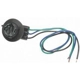 Purchase Top-Quality Lamp Socket by BLUE STREAK (HYGRADE MOTOR) - S585 pa11