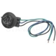 Purchase Top-Quality Lamp Socket by BLUE STREAK (HYGRADE MOTOR) - S585 pa14