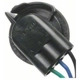 Purchase Top-Quality Lamp Socket by BLUE STREAK (HYGRADE MOTOR) - S585 pa9