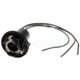 Purchase Top-Quality Lamp Socket by BLUE STREAK (HYGRADE MOTOR) - S59 pa14