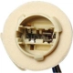 Purchase Top-Quality Lamp Socket by BLUE STREAK (HYGRADE MOTOR) - S590 pa18