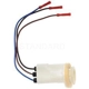 Purchase Top-Quality Lamp Socket by BLUE STREAK (HYGRADE MOTOR) - S626 pa1