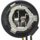 Purchase Top-Quality Lamp Socket by BLUE STREAK (HYGRADE MOTOR) - S65 pa1