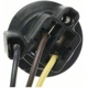 Purchase Top-Quality Lamp Socket by BLUE STREAK (HYGRADE MOTOR) - S65 pa14
