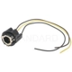 Purchase Top-Quality Lamp Socket by BLUE STREAK (HYGRADE MOTOR) - S65 pa15