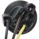 Purchase Top-Quality Lamp Socket by BLUE STREAK (HYGRADE MOTOR) - S65 pa3