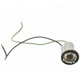 Purchase Top-Quality Lamp Socket by BLUE STREAK (HYGRADE MOTOR) - S67 pa21