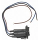 Purchase Top-Quality Lamp Socket by BLUE STREAK (HYGRADE MOTOR) - S673 pa6