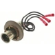 Purchase Top-Quality Lamp Socket by BLUE STREAK (HYGRADE MOTOR) - S68 pa7