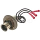 Purchase Top-Quality Lamp Socket by BLUE STREAK (HYGRADE MOTOR) - S68 pa9