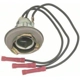Purchase Top-Quality Lamp Socket by BLUE STREAK (HYGRADE MOTOR) - S69 pa15