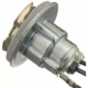 Purchase Top-Quality Lamp Socket by BLUE STREAK (HYGRADE MOTOR) - S69 pa17