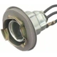Purchase Top-Quality Lamp Socket by BLUE STREAK (HYGRADE MOTOR) - S69 pa18