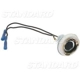 Purchase Top-Quality Lamp Socket by BLUE STREAK (HYGRADE MOTOR) - S71 pa18