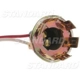 Purchase Top-Quality Lamp Socket by BLUE STREAK (HYGRADE MOTOR) - S75 pa14