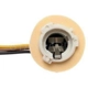 Purchase Top-Quality Lamp Socket by BLUE STREAK (HYGRADE MOTOR) - S77 pa3