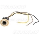 Purchase Top-Quality Lamp Socket by BLUE STREAK (HYGRADE MOTOR) - S77 pa5