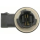 Purchase Top-Quality Lamp Socket by BLUE STREAK (HYGRADE MOTOR) - S775 pa7