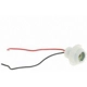 Purchase Top-Quality Lamp Socket by BLUE STREAK (HYGRADE MOTOR) - S858 pa10