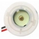 Purchase Top-Quality Lamp Socket by BLUE STREAK (HYGRADE MOTOR) - S858 pa11