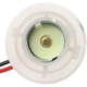 Purchase Top-Quality Lamp Socket by BLUE STREAK (HYGRADE MOTOR) - S858 pa12
