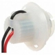 Purchase Top-Quality Lamp Socket by BLUE STREAK (HYGRADE MOTOR) - S858 pa13