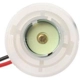Purchase Top-Quality Lamp Socket by BLUE STREAK (HYGRADE MOTOR) - S858 pa3