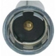 Purchase Top-Quality Lamp Socket by BLUE STREAK (HYGRADE MOTOR) - S865 pa4