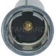 Purchase Top-Quality Lamp Socket by BLUE STREAK (HYGRADE MOTOR) - S865 pa5