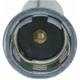 Purchase Top-Quality Lamp Socket by BLUE STREAK (HYGRADE MOTOR) - S865 pa6