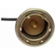 Purchase Top-Quality Lamp Socket by BLUE STREAK (HYGRADE MOTOR) - S87 pa8