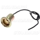 Purchase Top-Quality Lamp Socket by BLUE STREAK (HYGRADE MOTOR) - S87 pa9