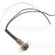 Purchase Top-Quality Lamp Socket by BLUE STREAK (HYGRADE MOTOR) - S91 pa11