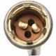 Purchase Top-Quality Lamp Socket by BLUE STREAK (HYGRADE MOTOR) - S91 pa13