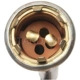 Purchase Top-Quality Lamp Socket by BLUE STREAK (HYGRADE MOTOR) - S91 pa15
