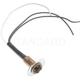 Purchase Top-Quality Lamp Socket by BLUE STREAK (HYGRADE MOTOR) - S91 pa16