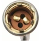 Purchase Top-Quality Lamp Socket by BLUE STREAK (HYGRADE MOTOR) - S91 pa18