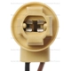 Purchase Top-Quality Lamp Socket by BLUE STREAK (HYGRADE MOTOR) - S95 pa15
