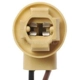 Purchase Top-Quality Lamp Socket by BLUE STREAK (HYGRADE MOTOR) - S95 pa2