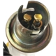 Purchase Top-Quality STANDARD - PRO SERIES - S36N - License Lamp Socket pa3