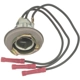 Purchase Top-Quality STANDARD - PRO SERIES - S69 - Back Up Light Socket pa1