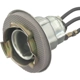 Purchase Top-Quality STANDARD - PRO SERIES - S69 - Back Up Light Socket pa2