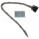 Purchase Top-Quality License Lamp Connector by BLUE STREAK (HYGRADE MOTOR) - S1010 pa2