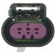 Purchase Top-Quality License Lamp Connector by BLUE STREAK (HYGRADE MOTOR) - S1025 pa25
