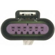 Purchase Top-Quality License Lamp Connector by BLUE STREAK (HYGRADE MOTOR) - S1479 pa59