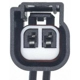 Purchase Top-Quality License Lamp Connector by BLUE STREAK (HYGRADE MOTOR) - S1757 pa45